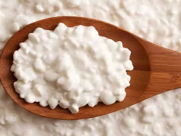 Cottage Cheese