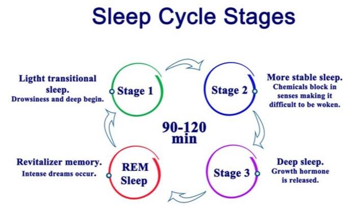 Research on the Impact of Sleep Patterns on Blood Sugar Regulation