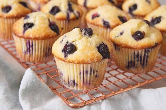 Blueberry Muffin