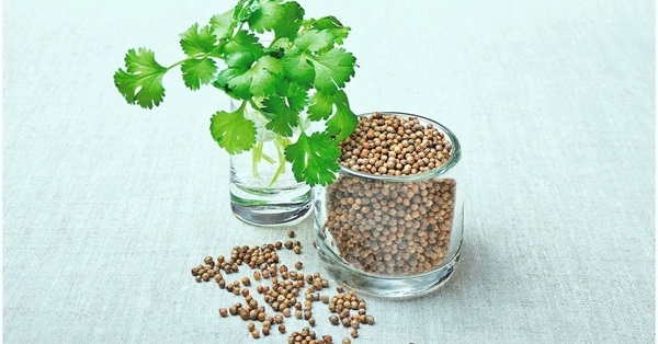 Coriander Powder