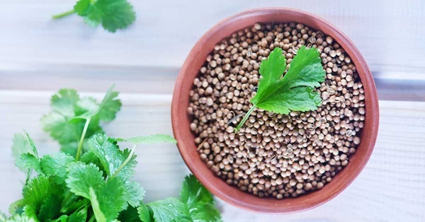 Coriander Powder