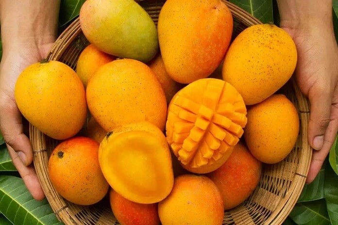 Mango Day