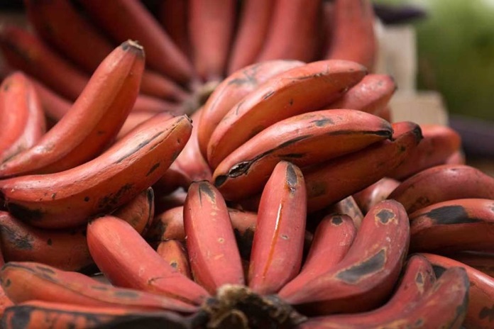 Red Banana