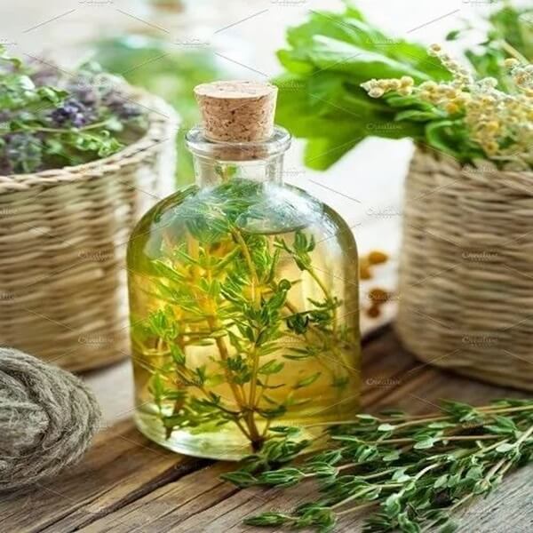 Thyme Essential Oil